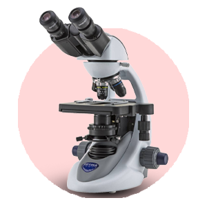 promotion-categories